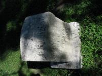 Chicago Ghost Hunters Group investigates Calvary Cemetery (132).JPG